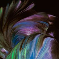 Chillwave Music Generator